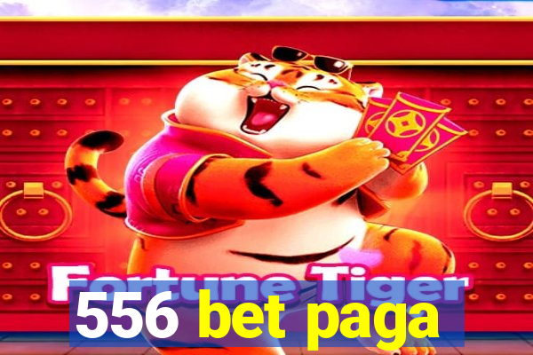 556 bet paga